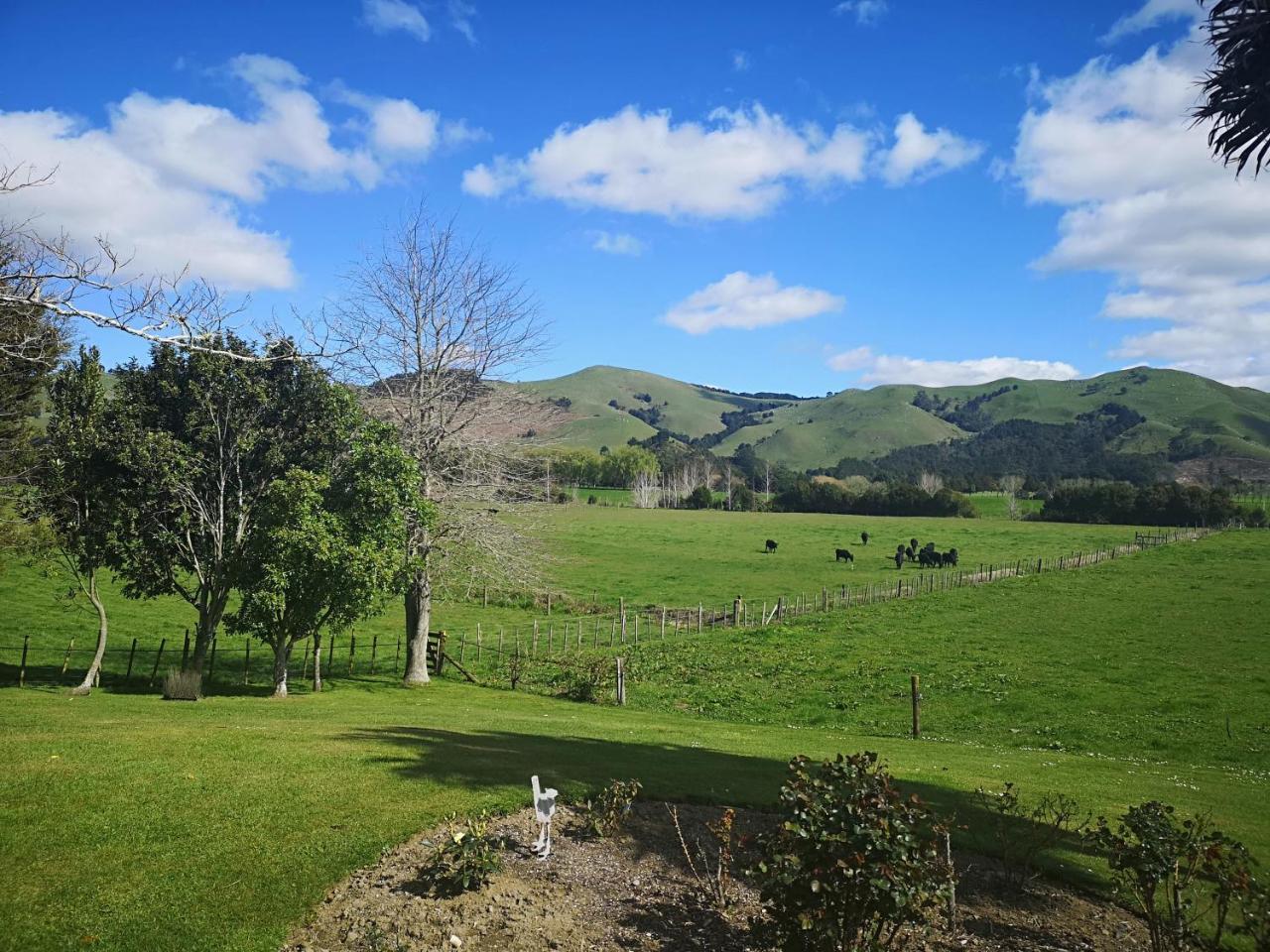 Paeroa Pukeko Lodge Zewnętrze zdjęcie