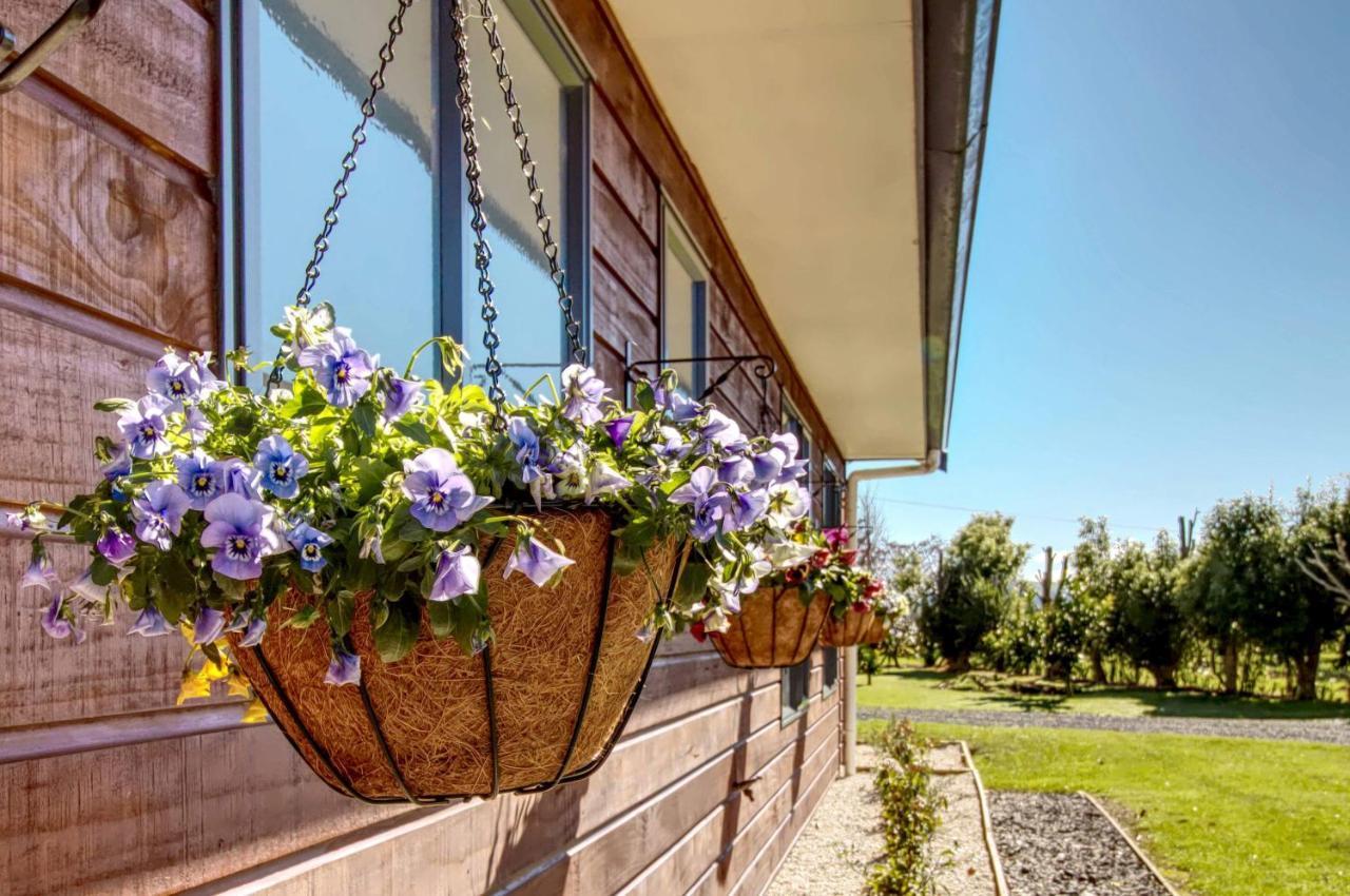 Paeroa Pukeko Lodge Zewnętrze zdjęcie